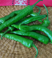 Elissalde Le Potager Basque - Piments Elissalde Basque Ultra-doux 100% Naturel 150 g