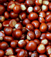 Gobert, l'abricot de 4 générations - [Précommande] Châtaignes Bouche de Betizac 2KG