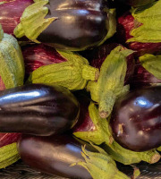 ChâteauFer - Aubergine Mix 1kg