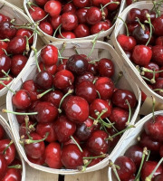 Domaine Reverchon - Cerises du Vaucluse 1kg