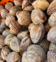 Pêcherie Granvillaise - Praires de la baie de Granville 700g