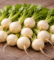 Nature et Saveurs - Ferme Aquaponique et Permacole Astérienne - Navet polaire – chair blanche, douceur et précision culinaire