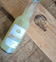 TK Bio - The Kefir et Kombucha Compagnie - TibiKos Maté Orties (Kéfir)- 12x33cl BIO