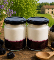 Gaec de l'Elanion - Lot de 2 Fromage Blanc Mûres