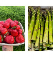 Domaine Reverchon - Lot Asperge verte 2kg et 1kg fraise clery