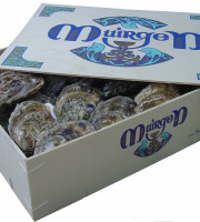 Saint Kerber - Cancale - Huîtres - La Spéciale Muirgen 🇮🇪 n°3 - 50 pièces