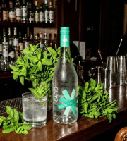 Sapio Spirits - Liqueur de Menthe BIO