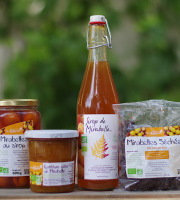 Domaine de l'Ambroisie - Coffret 100% Mirabelle bio Origine Lorraine : Confiture, Sirop, Mirabelles au Sirop et Mirabelles Séchées.