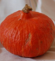Les Jardins de Mondpa - courge potimarron