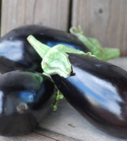 La Boite à Herbes - Aubergine - Lot De 3kg