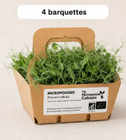 Ma Micropousse culinaire - Micro-pousses bio de pois vert – 16 barquettes