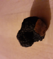 Les Vergers de la Vautée - Truffe de Bourgogne Fraîche