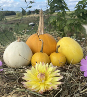 Ferme Sinsac - [Précommande] Panier découverte des courges anciennes 3kg