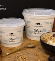 La Tallevendaise - Skyr nature 500g