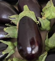 Des Poules et des Vignes à Bourgueil - Aubergine du jardin