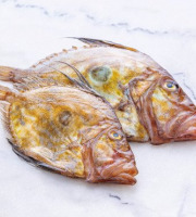 Poissonnerie La Piriacaise - Saint-Pierre entier pièce de 1.3/1.8 kg