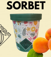 Chaloin Chocolats - Sorbet Abricot de Provence