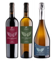 Château Balsamine - Lot AOC Gaillac “Un Ange Passe” – Château Balsamine – 2 Rouges, 2 Blancs, 2 Bulles – 6x75cl