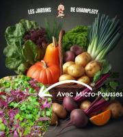 Les Jardins de Champlecy - Panier De Légumes De Saison + 1 Barquette De Micro-pousses