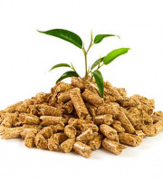 La Ferme de Franck et Blandine - l'Or Brun de notre ferme