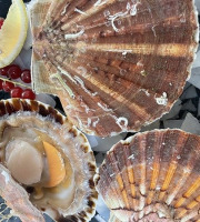 Notre poisson - Coquilles Saint Jacques entières de Normandie - 6kg