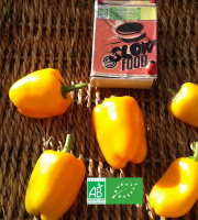 LES JARDINS DE KARINE - Poivrons oranges mini - 100g