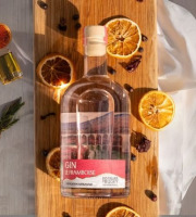 Distillerie du Bugey - Gin Le framboise 3L
