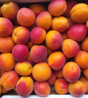 Vergers des brunots - Abricots pour confiture 10kg