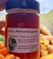 La Ferme de l'Ayguemarse - VELOURS ABRICOT-GINGEMBRE