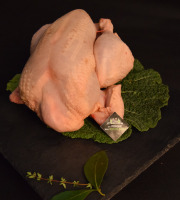 La Ferme des Peupliers - Poulet fermier plein air
