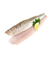 Ma poissonnière - Filet De Sandre - Lot De 600 G