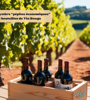 La Fermière - Box Mystère « Pépites Économiques » 2 bouteilles de vin rouge (-10%)