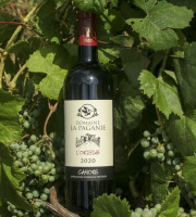 Domaine la Paganie - Vin rouge de Cahors élevé en Barrique - L'Origine 2020 - 1 bouteille