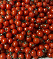 Agriloops - Tomates cerises rondes – Poly 2 kg