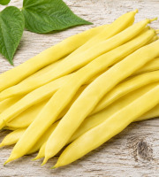 Nature et Saveurs - Ferme Aquaponique et Permacole Astérienne - Haricot plat mangetout beurre — jeunes gousses < 1,5 cm