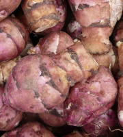 Maréchal Fraicheur - Topinambours - 1 kg