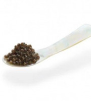 Caviar de Neuvic - Cuillère en nacre 5 cm x 100