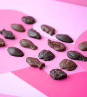 Maison Le Roux - #02 La Friture Praliné