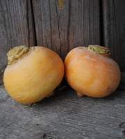 La Boite à Herbes - Navet Boule D'or - 500g