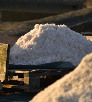 Artisans du Sel - Fleur de Sel de Guérande IGP 100% naturelle - 25kg | Artisans du Sel