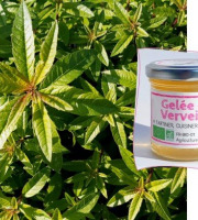 L'Agricueilleur du Suzon - Gelée de verveine Bio