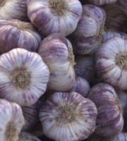 L'OLIVERAIE DU COUDON - AIL VIOLET  1KG