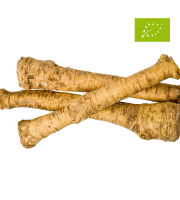 Domaine des Terres Rouges - Racines Fraîches de Raifort BIO en Vrac - 1Kg