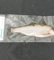 Nature et Saveurs - Ferme Aquaponique et Permacole Astérienne - Truite blanche moyenne aquaponique - 2kg