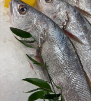 L'atelier des poissonniers - Maigre sauvage