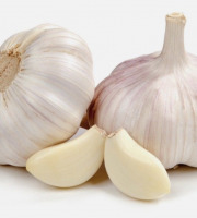 Des Poules et des Vignes à Bourgueil - Ail