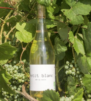 Domaine la Paganie - Vin blanc Bio - Petit blanc - 1 bouteilles