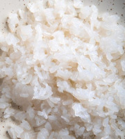 France-Konjac - Riz de konjac en vrac-Format restauration/ fabrication