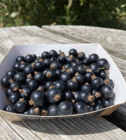Ferme Sinsac - cassis en barquettes de 125 grs