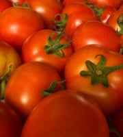 La Ferme d'Artaud - Tomates - 5kg
